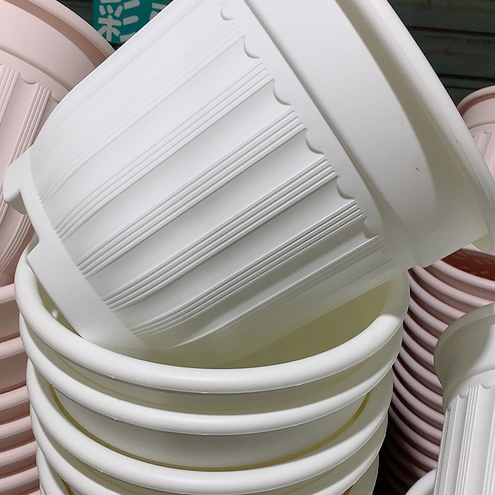 罗马口32白3个无托