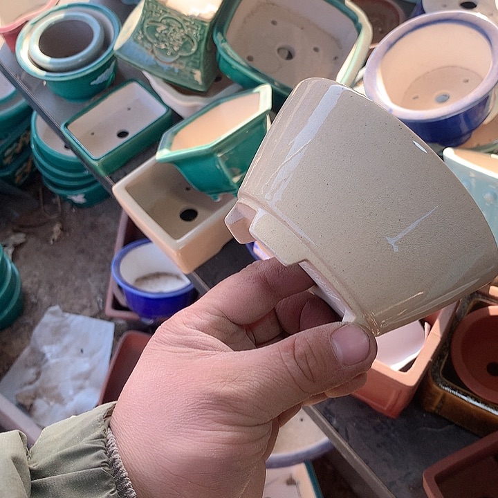 紫砂我想去一条地方