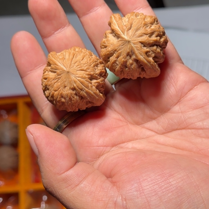 文玩核桃把件633号全品铁锤妹妹35-37mm