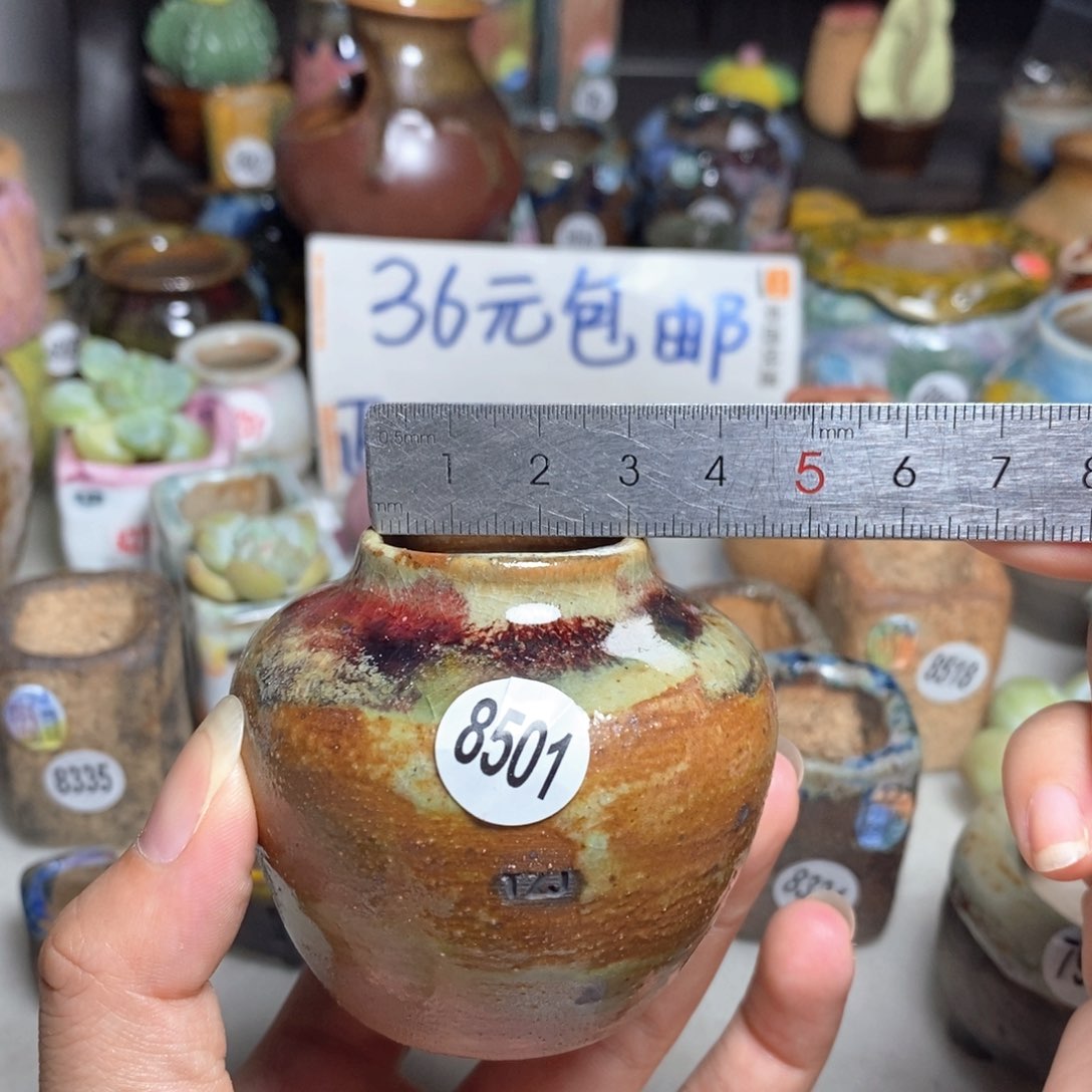 拍5送一个小礼物