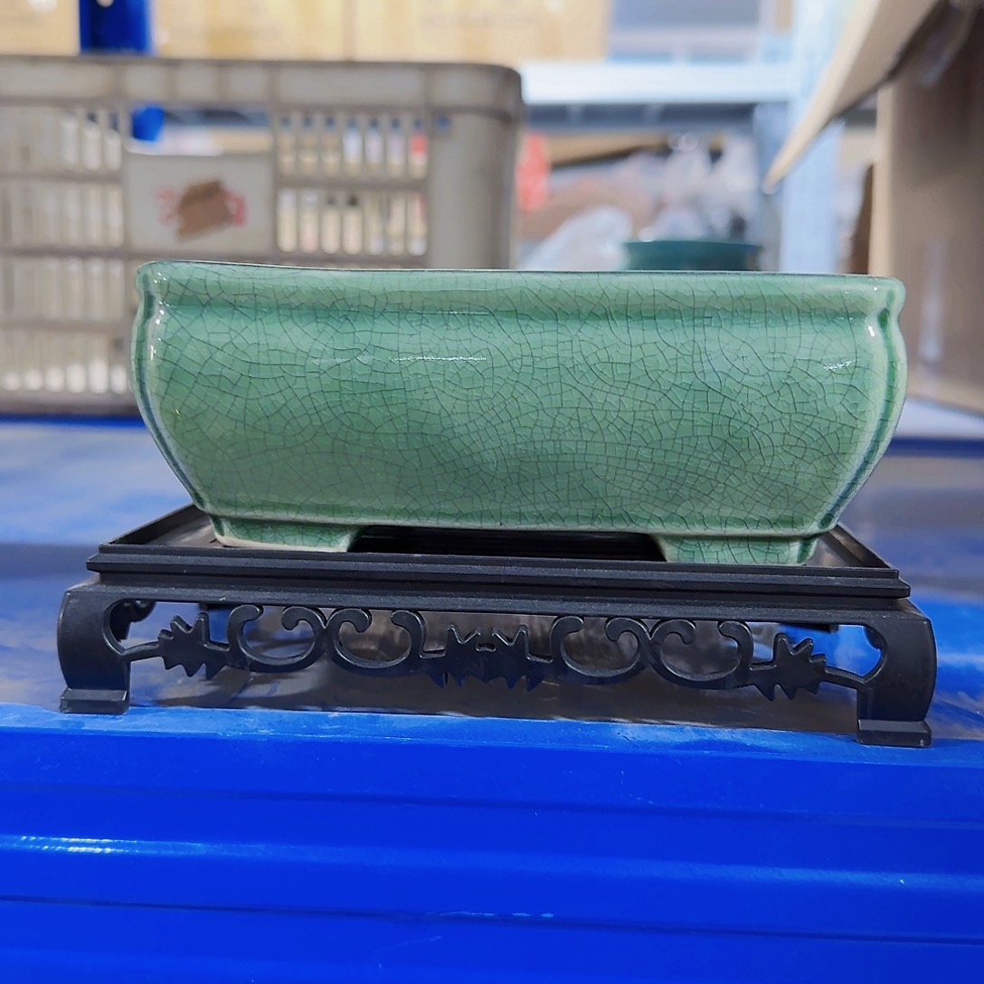 陶瓷花盆特价上新