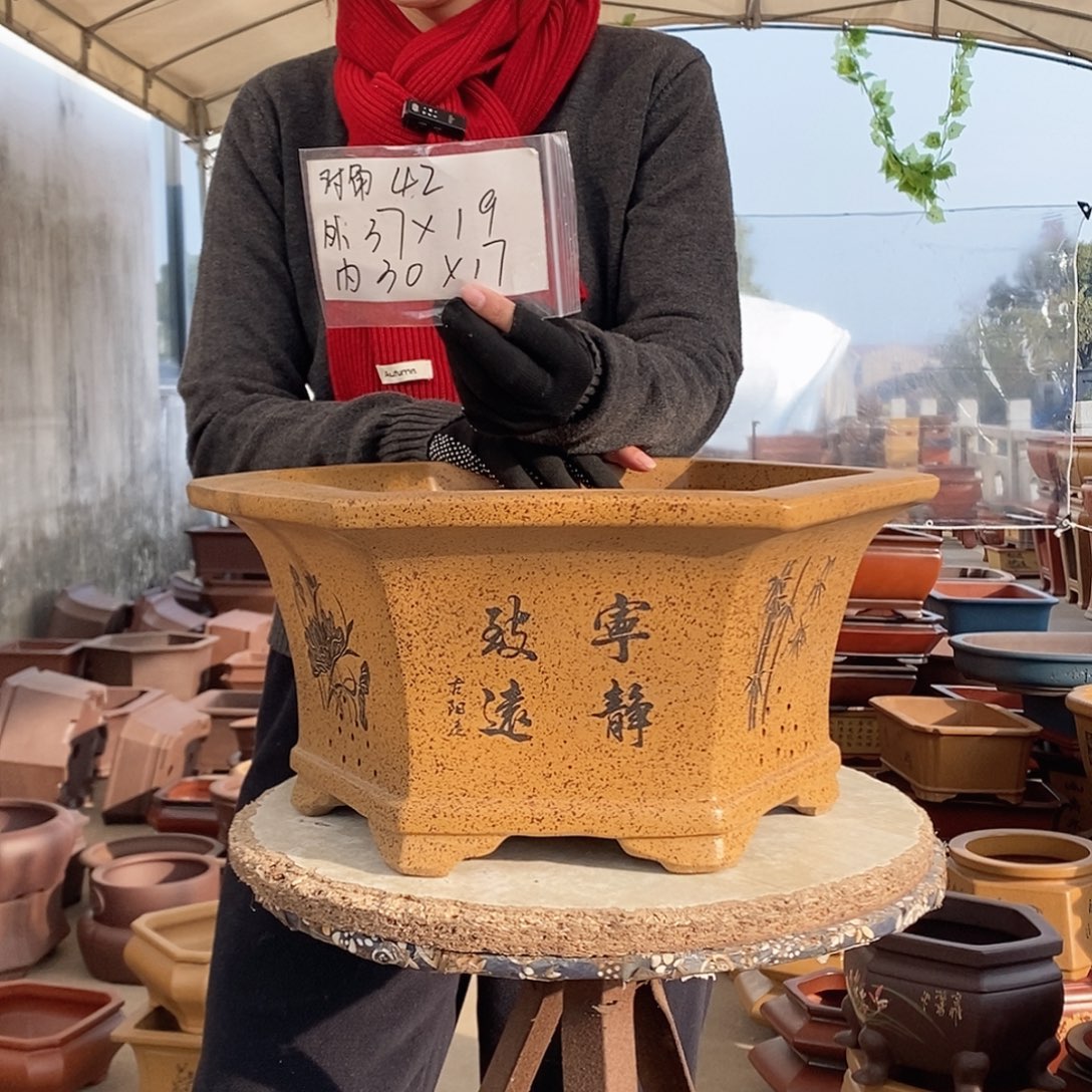 紫砂花盆紫砂花盆