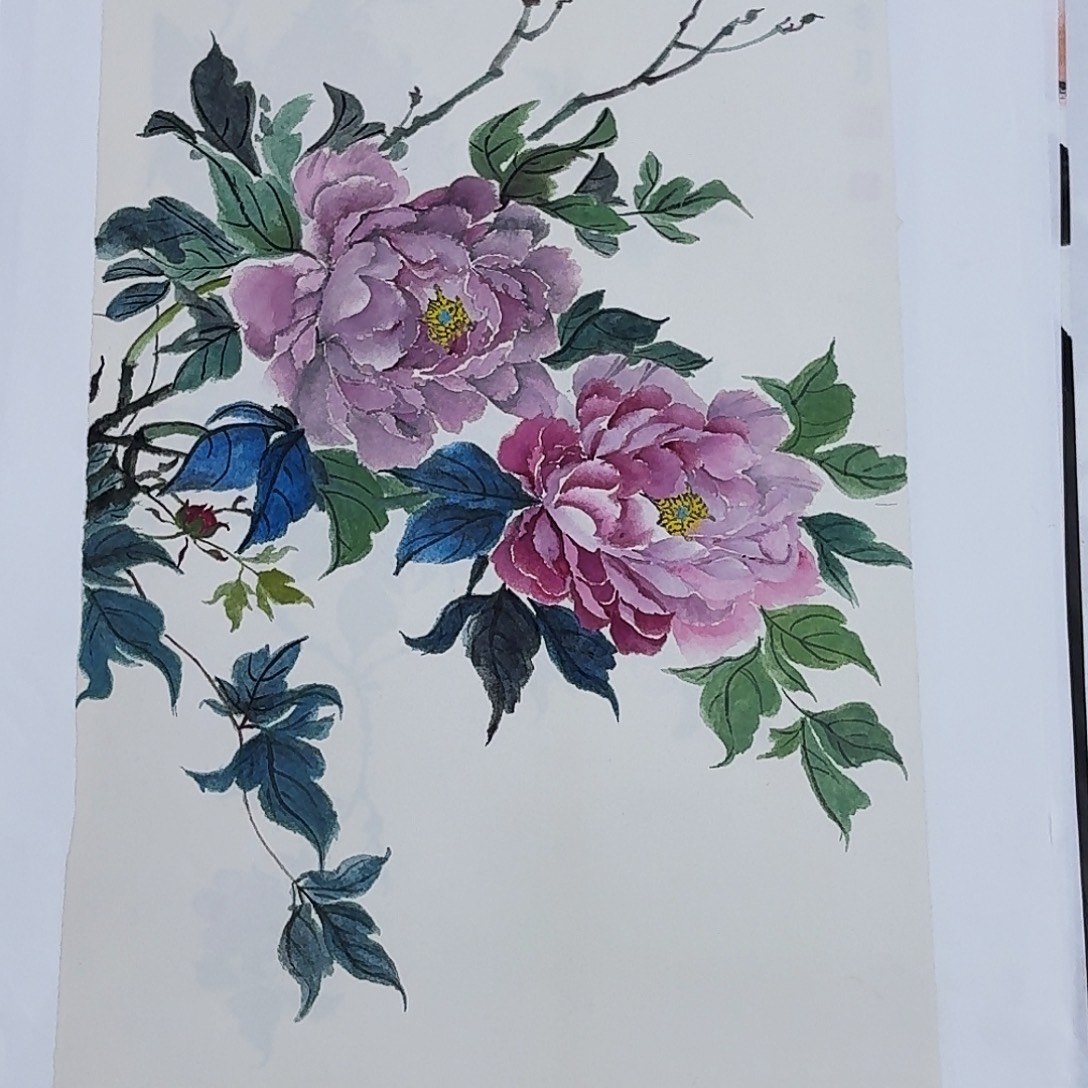 国画四尺四开花鸟