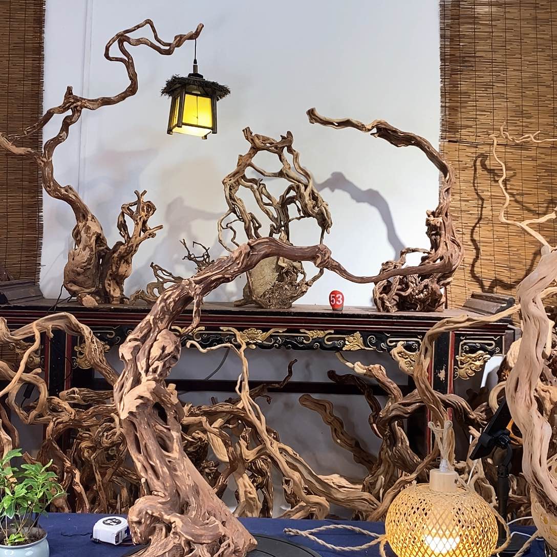 福***香榧木好喜欢这个造型哦