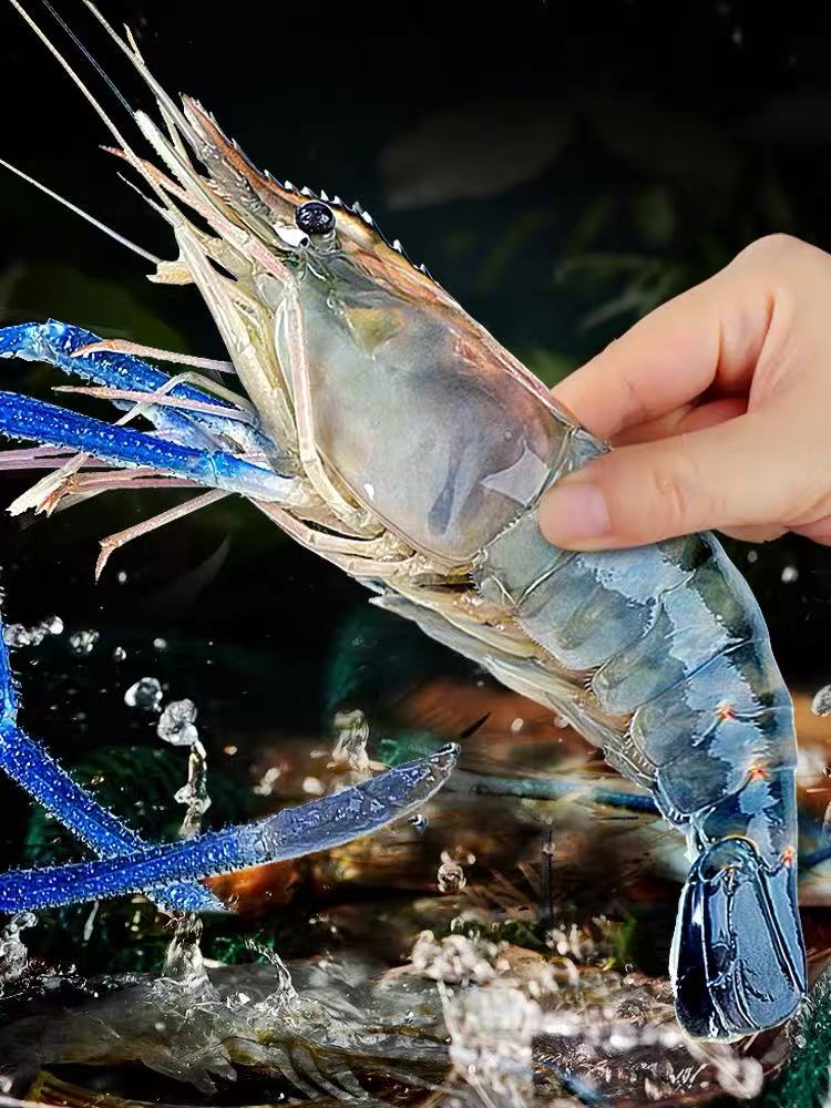 （大）拍3送1共4斤 罗氏虾活虾速冻 口感鲜嫩 海鲜精品 顺丰包邮美