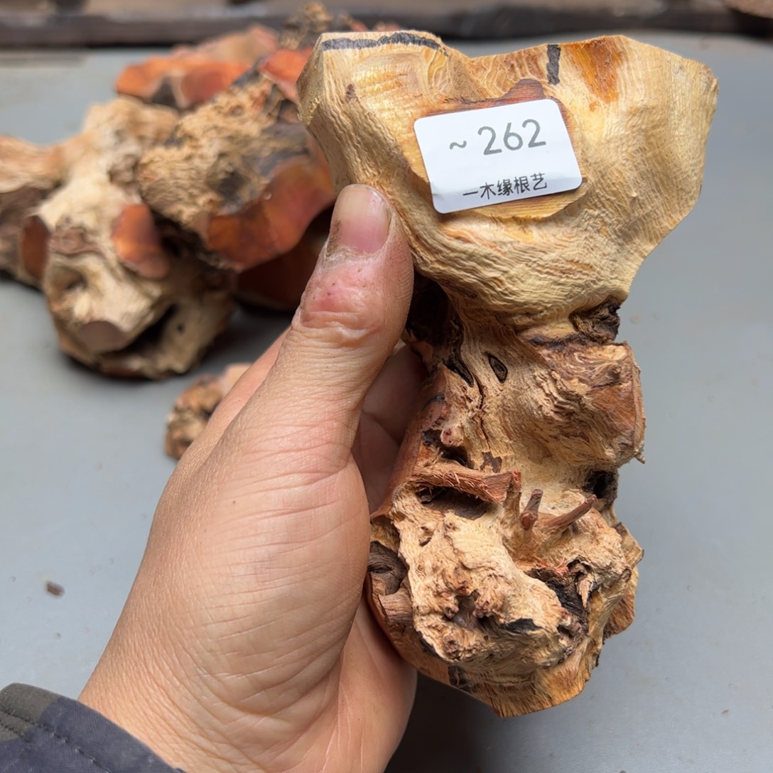 ****定无花朵       262