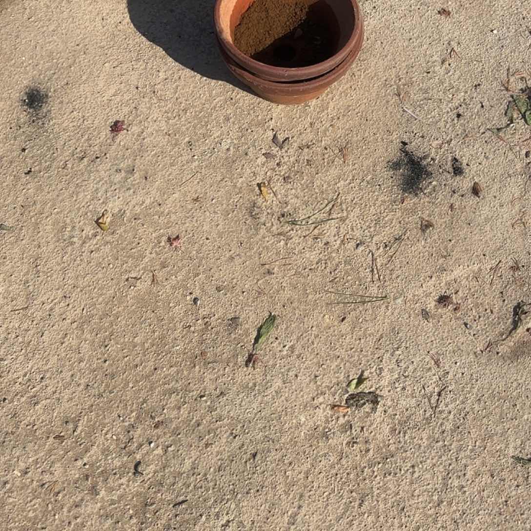 万***意无花朵草下下下下下个草盆