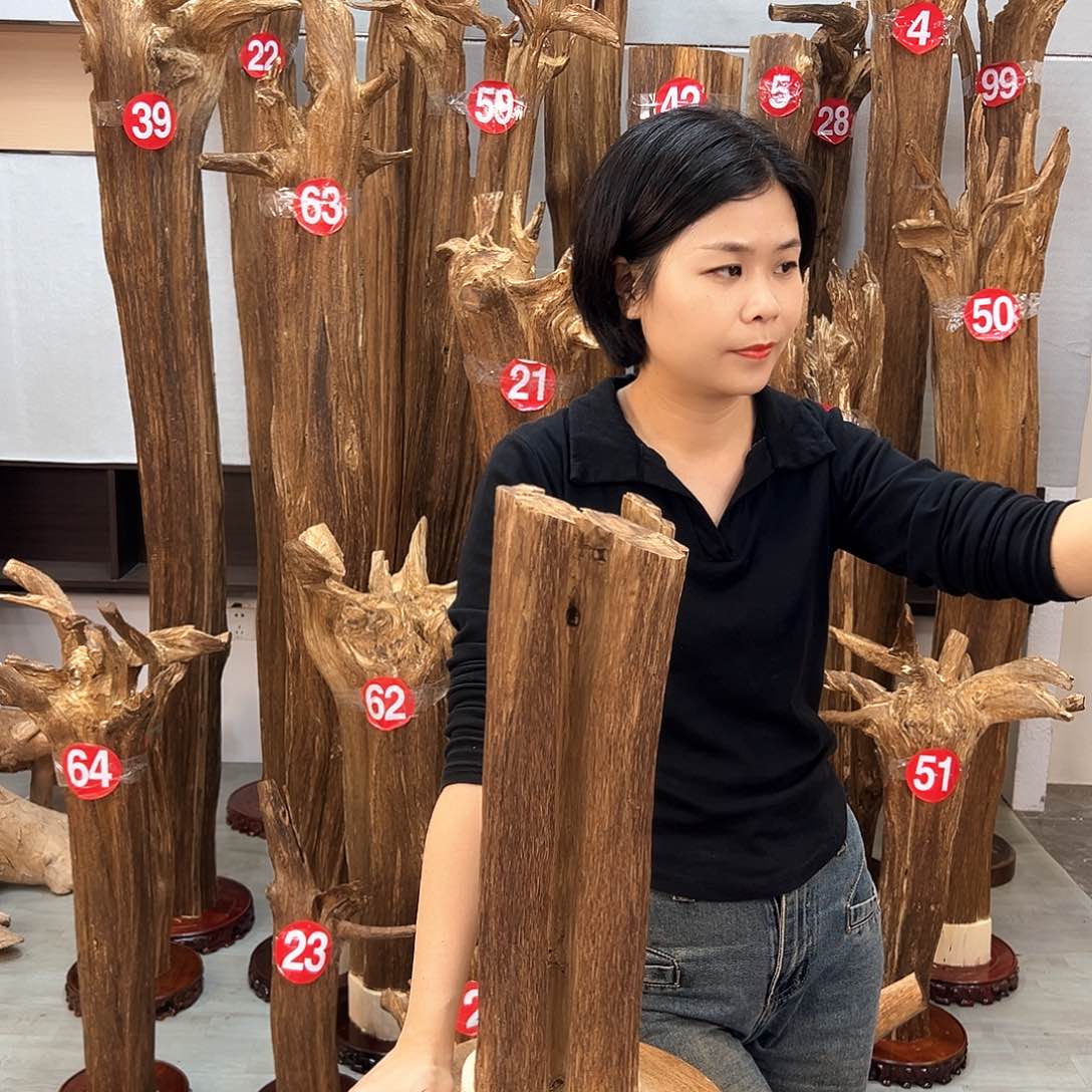 摆件沉香沉香摆件