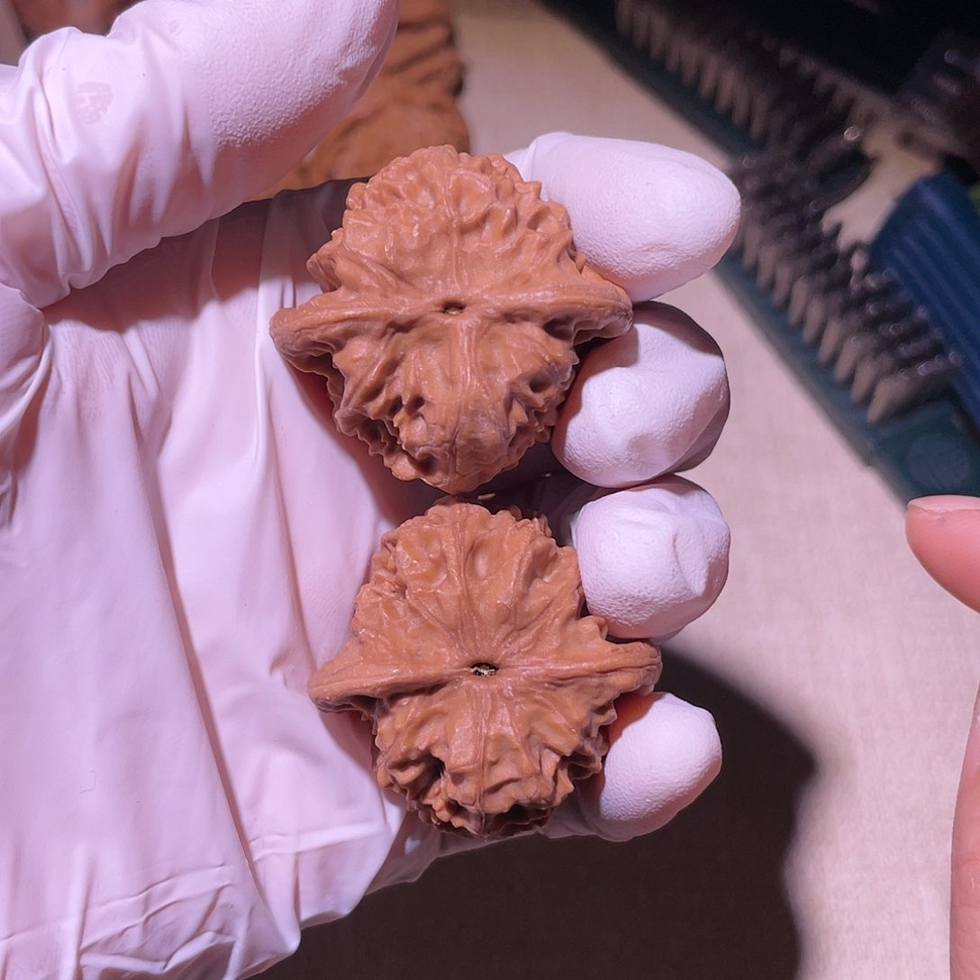 【闪购商品】37野狼