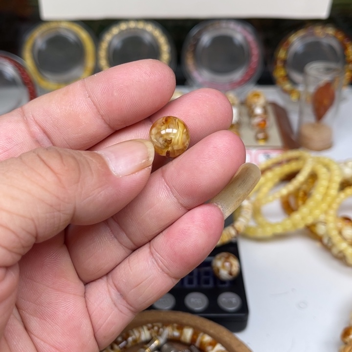 巨***鱼琥珀未镶嵌裸石60号