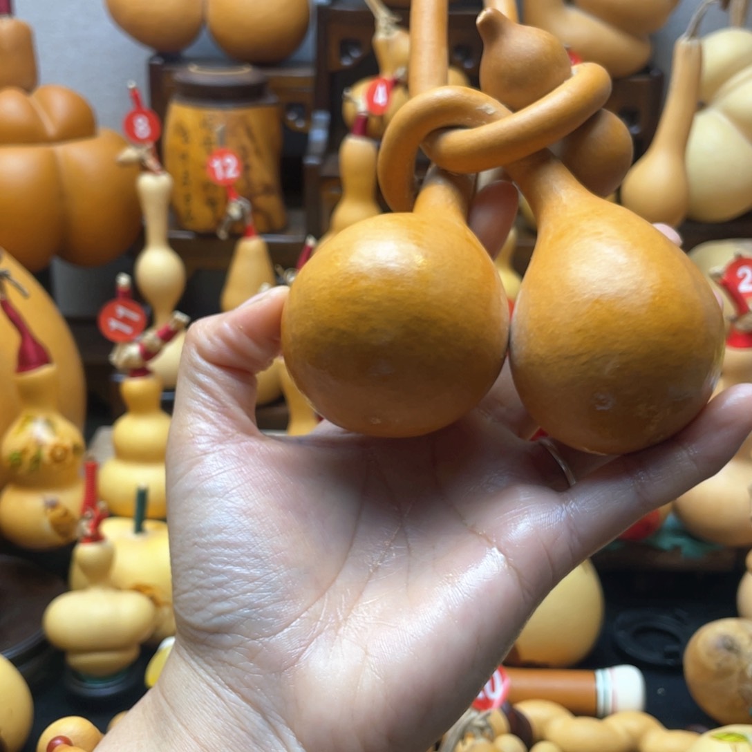 好****)大自然的秘密第十一节你是谁的