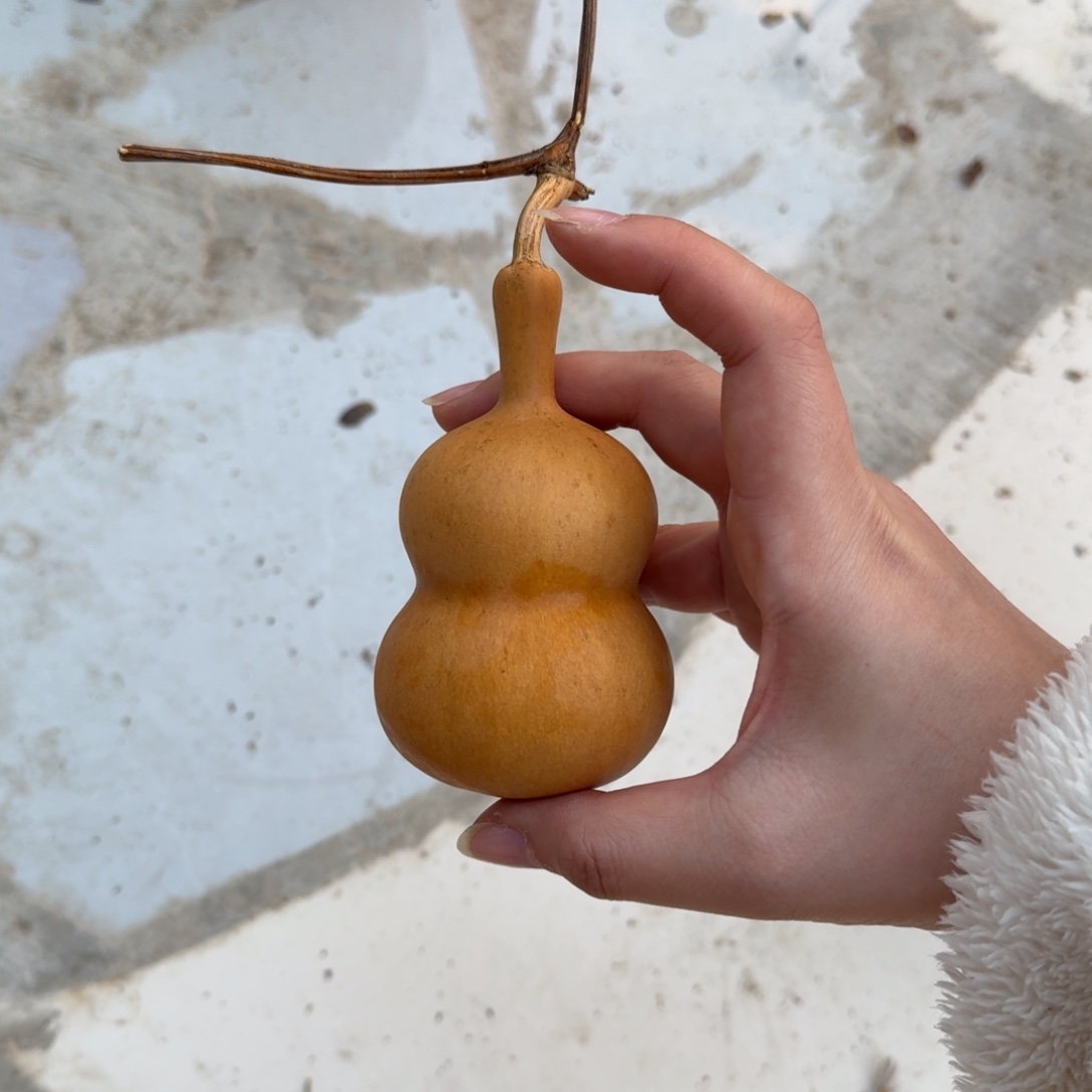 葫芦福利手把 不退不换