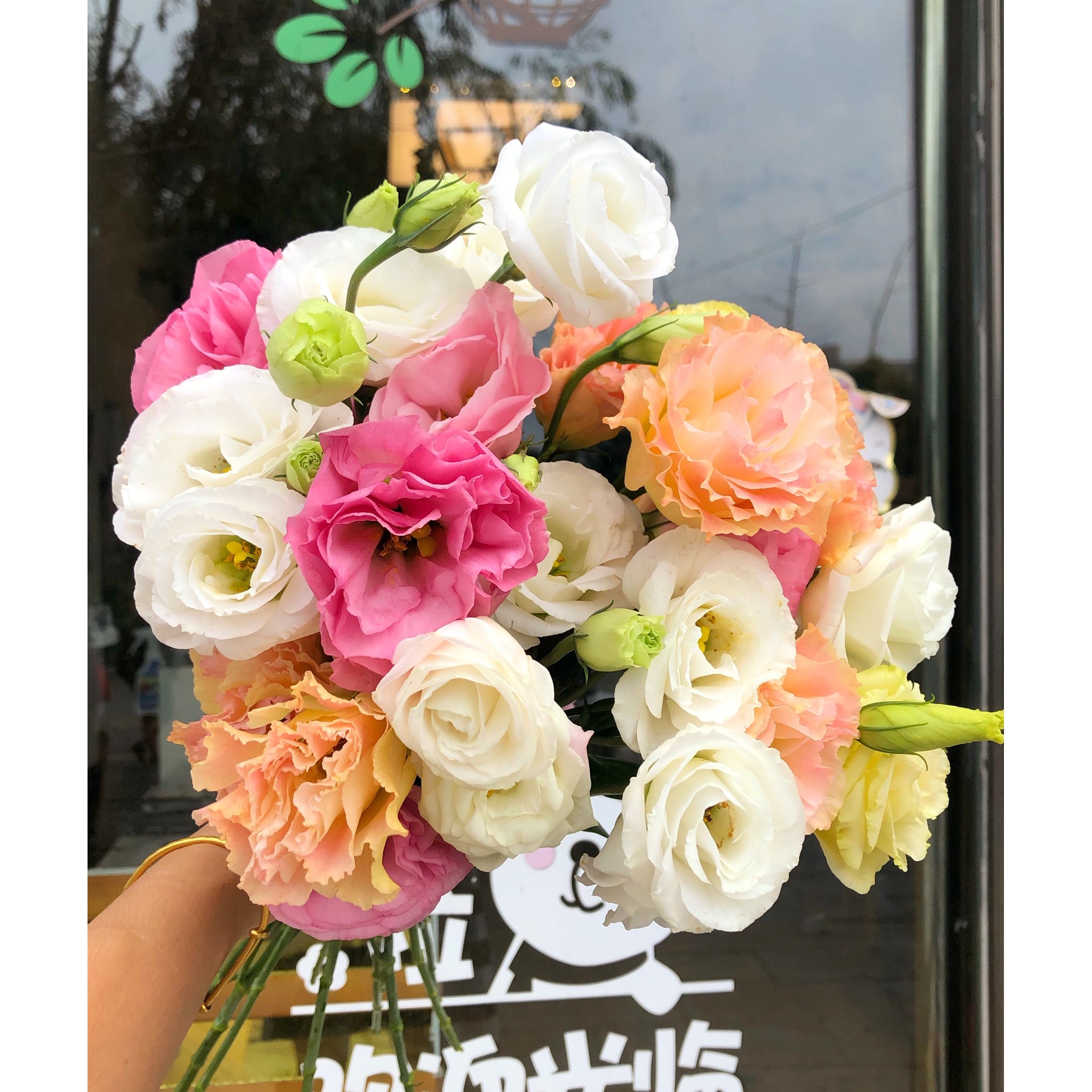 混色洋桔梗一大把+混色小菊5支+混色康乃馨10支