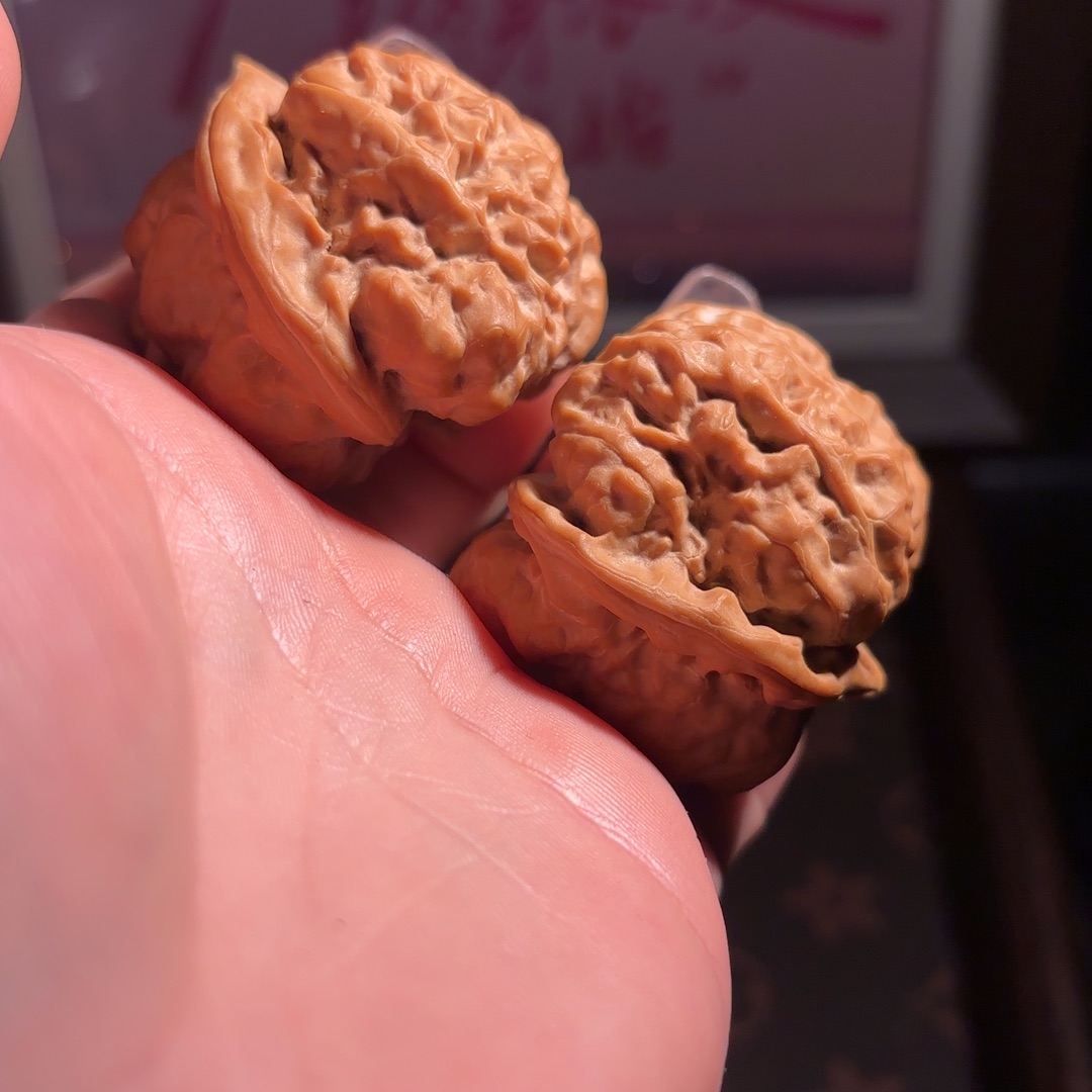 核桃42肚尺三角蛙高35
