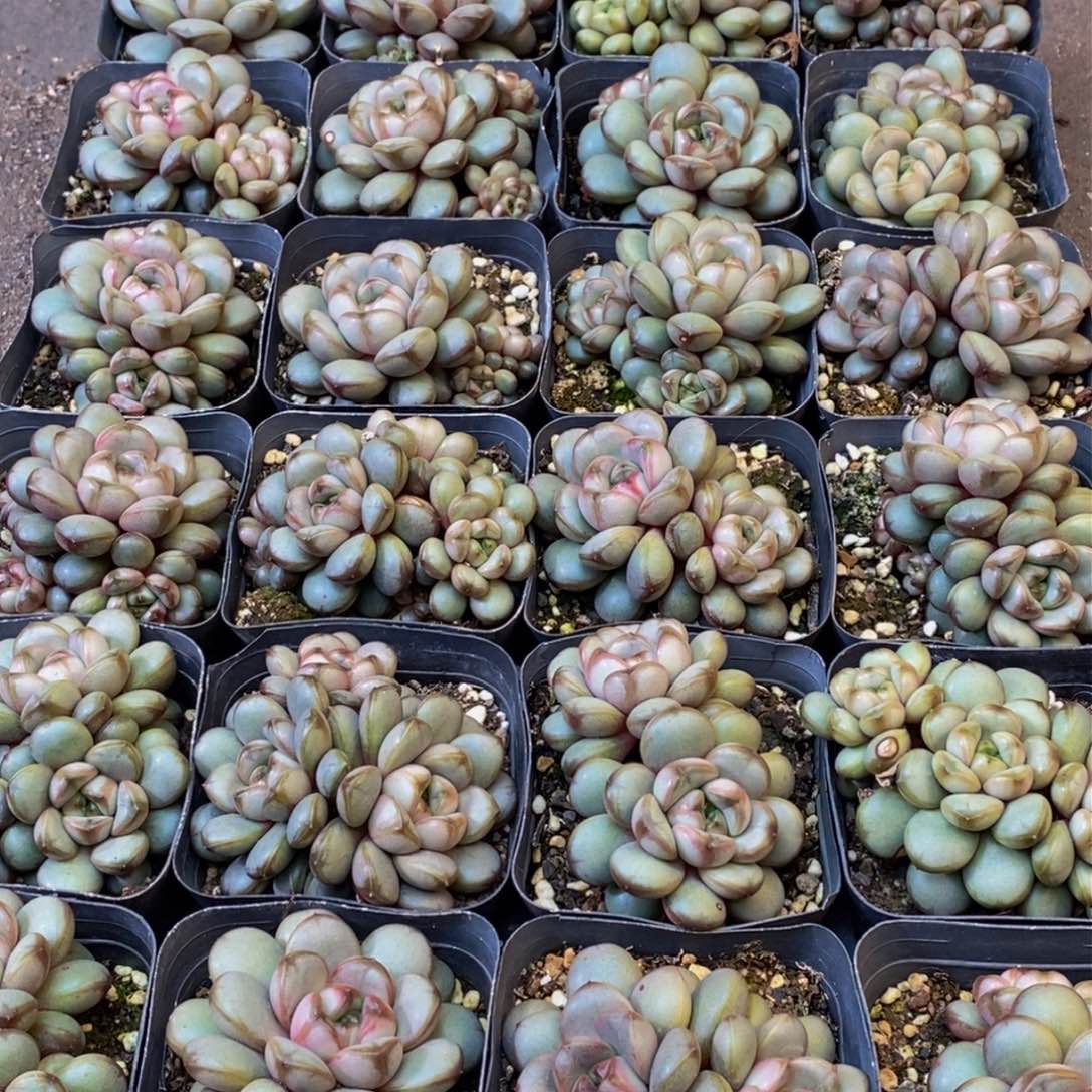 277的人在一起的时候