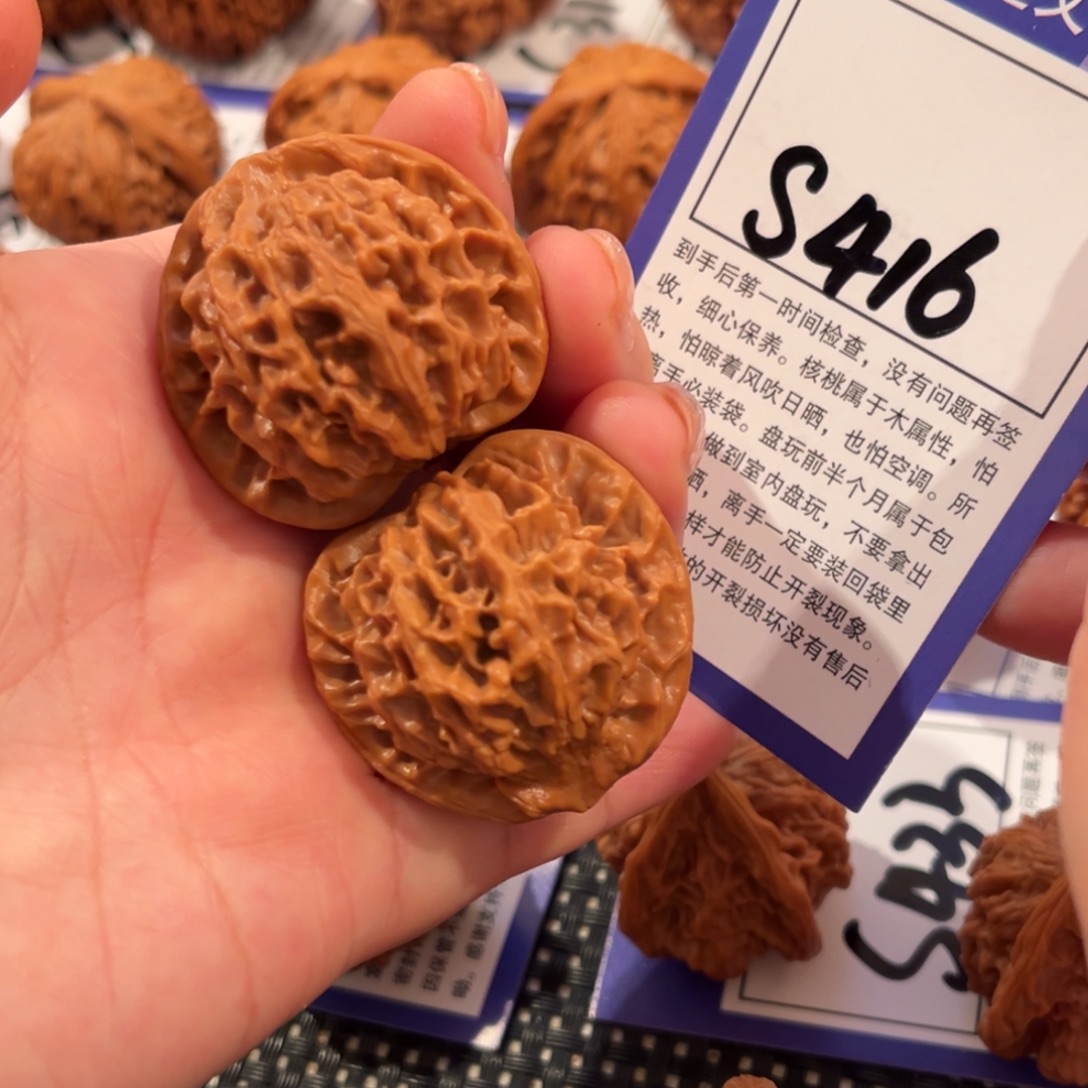 核桃S416号秦闷36尺