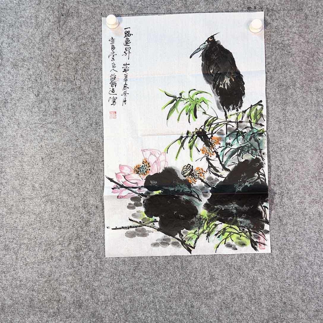 国画421 牡丹等植物资源和野生