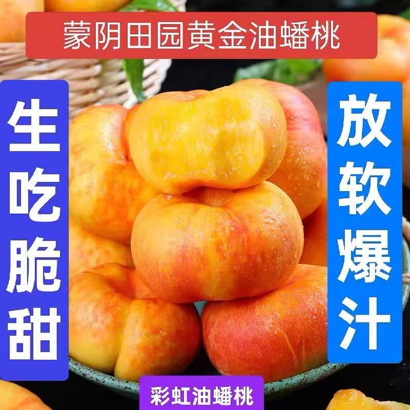 山东蒙阴彩虹油蟠桃新鲜现摘香甜多汁当季应季水果