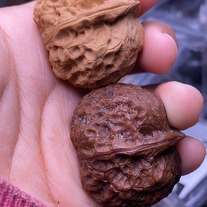 吊坠文玩核桃   6