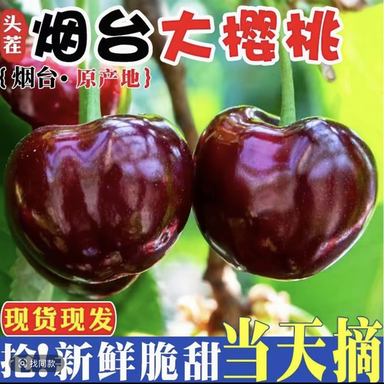 【助农补贴】现摘美早大樱桃新鲜水果山东国产车厘子应季