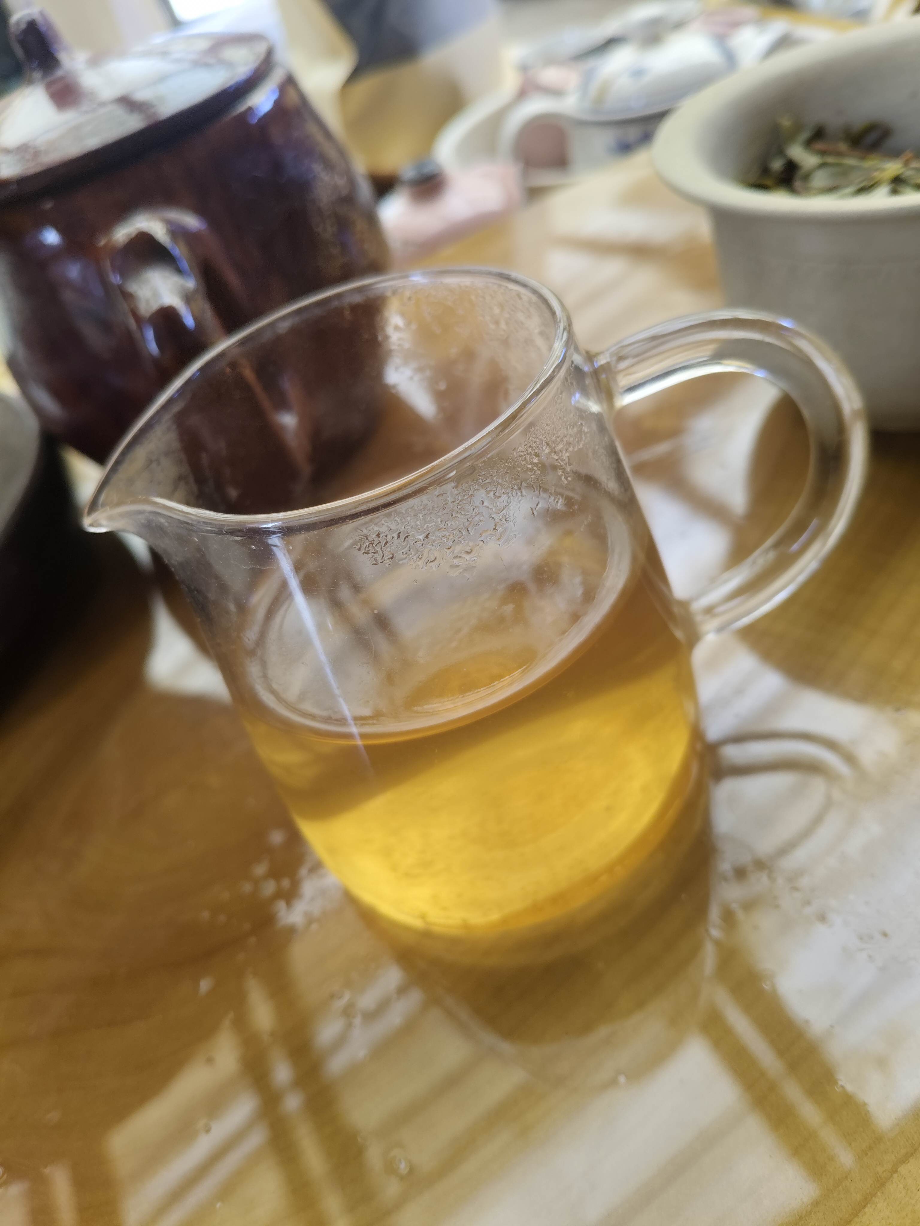 2025年坝卡中大树谷花茶