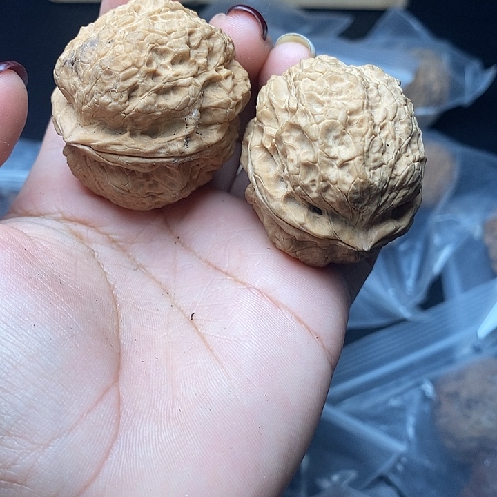 文玩核桃把件     18h