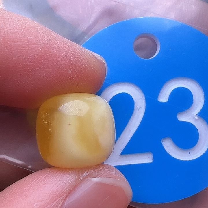 蜜蜡裸石未镶嵌花粉12.5m m