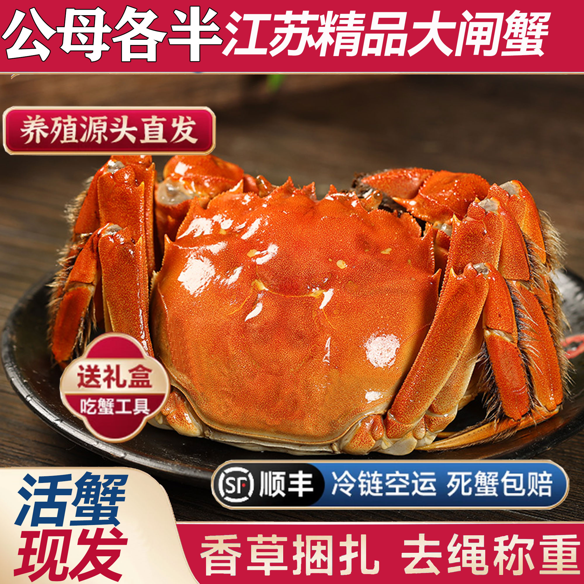 【江苏活蟹】大闸蟹 公蟹4.5-4.2两 母蟹4.0-3.7两 6-10只顺丰包邮