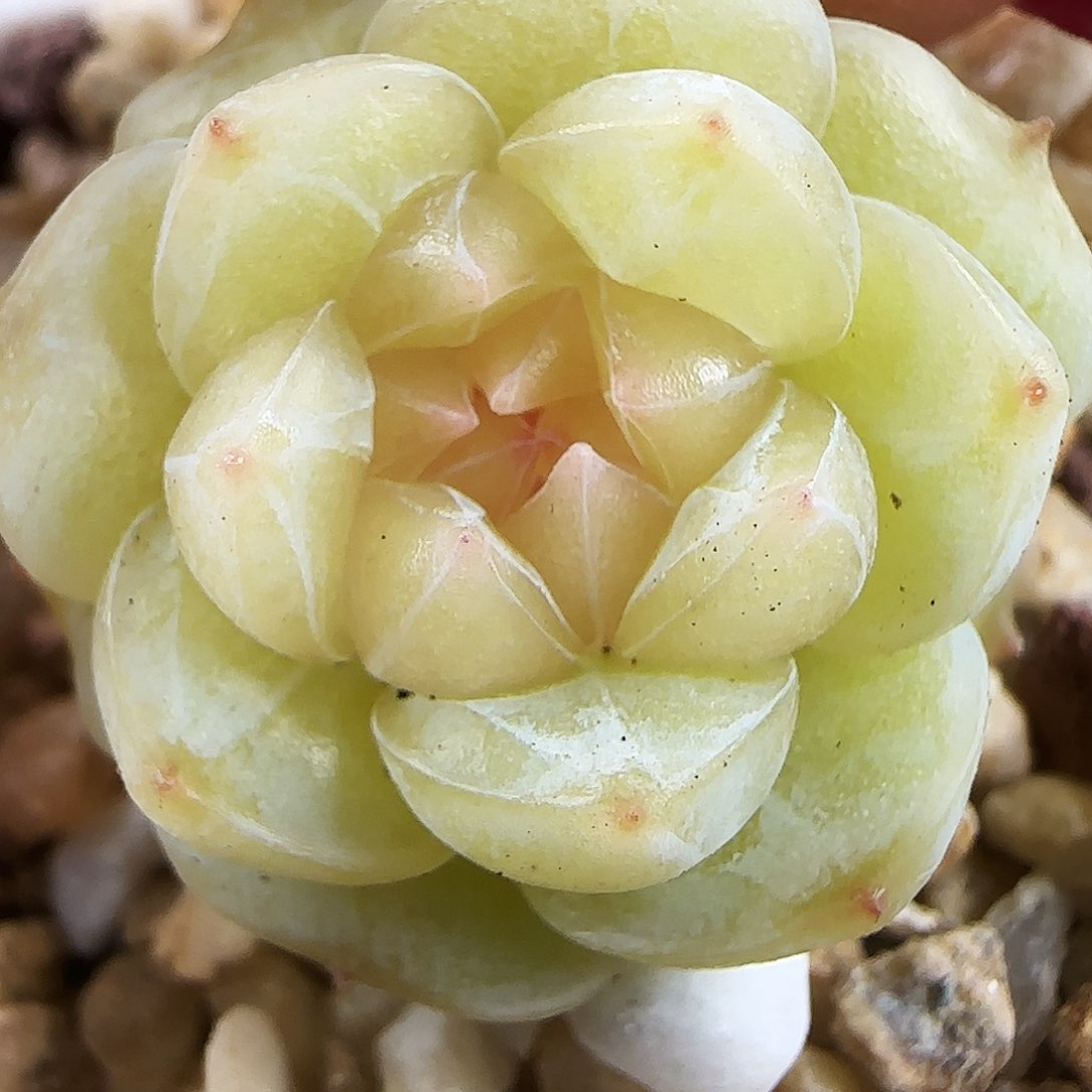 523号哈哈哈哈哈哈