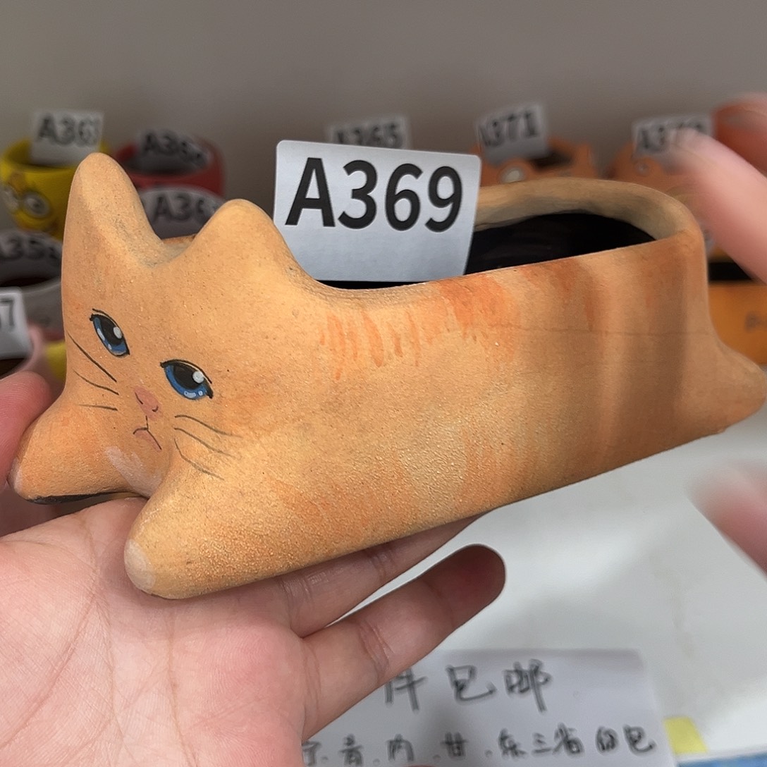 丁丁。手工花盆盆清仓