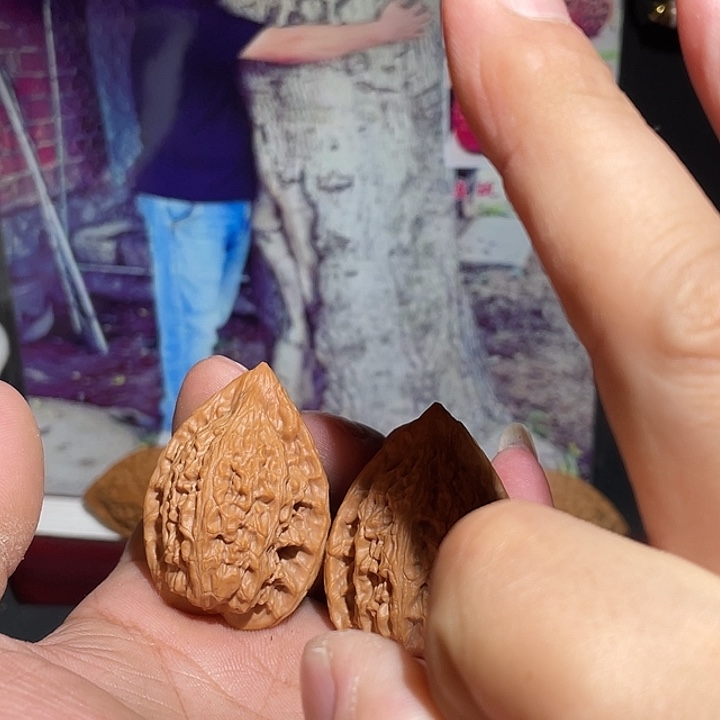 文玩核桃吊坠吸血鬼