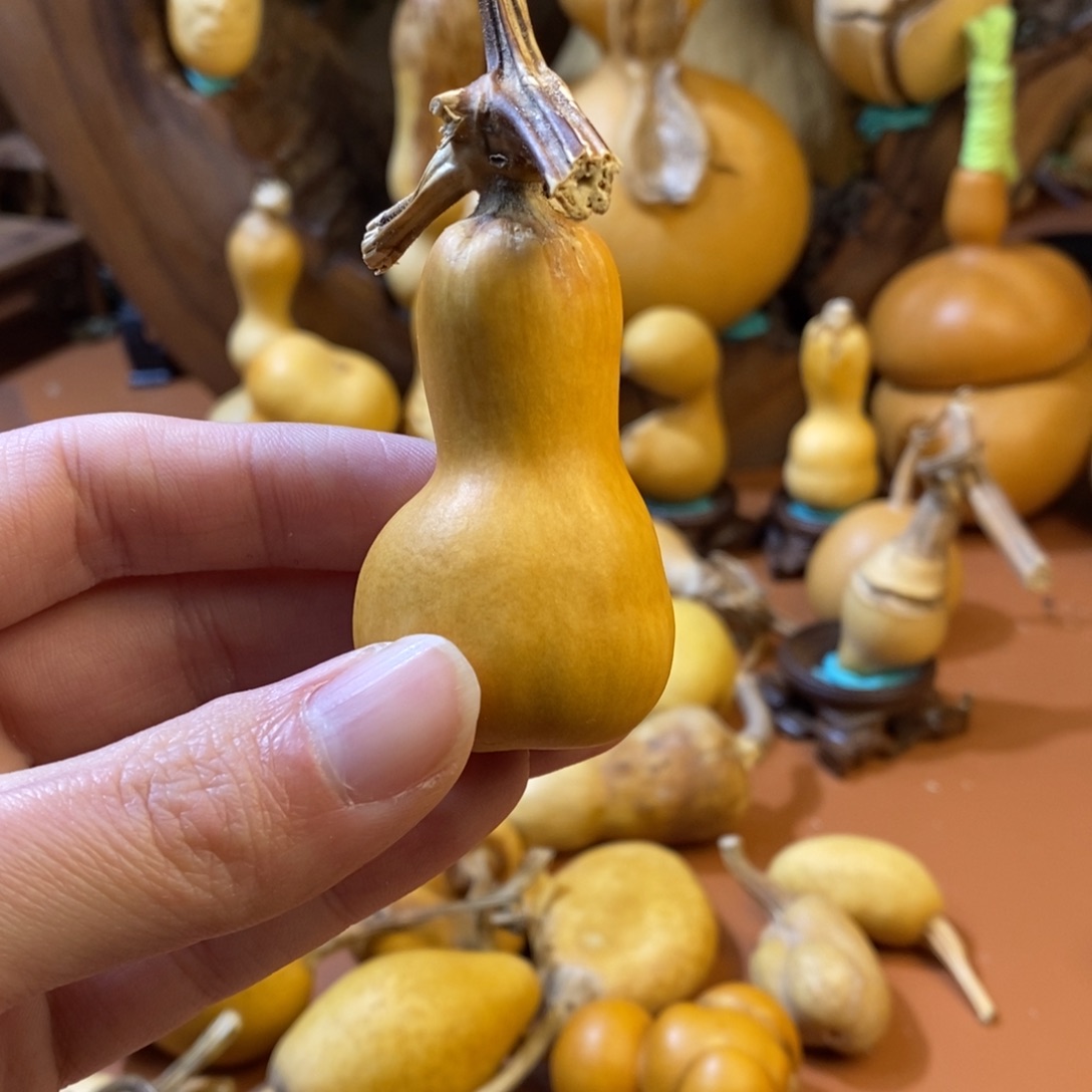 *****教练教练教练教练经理