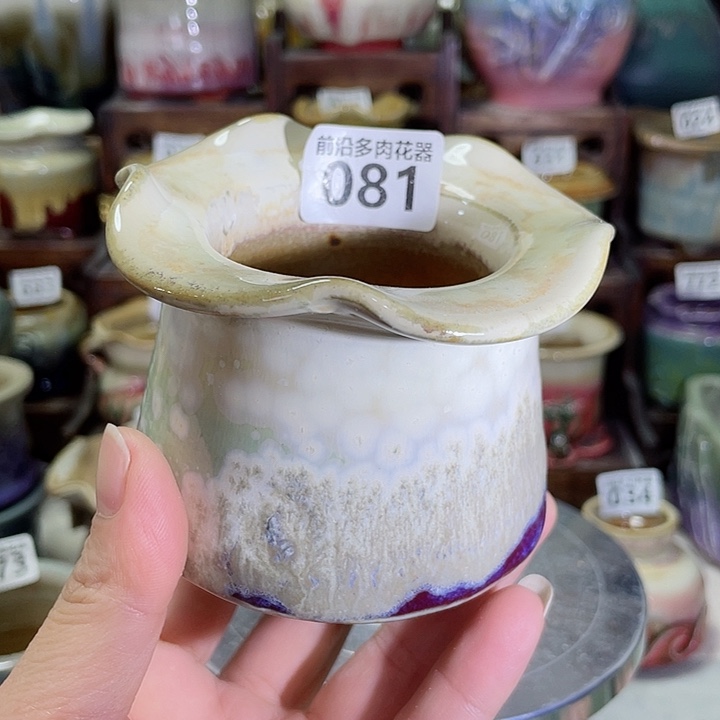 狼盆内口径6高度7