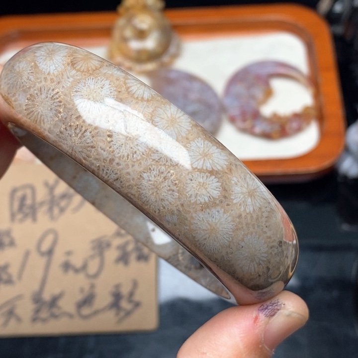 硅化珊瑚（珊瑚玉）手镯未镶嵌59