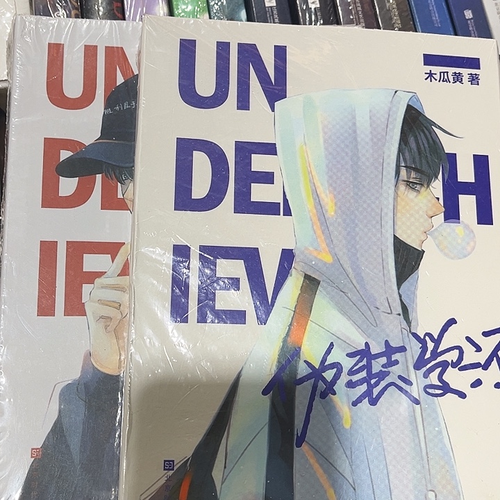 伪装学渣全新全套两本带周边未删