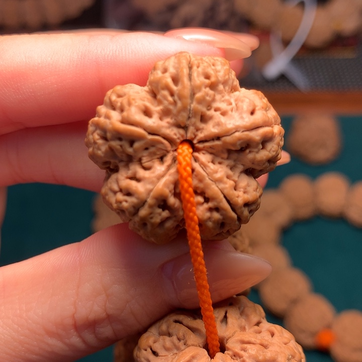 金刚菩提手串30尺寸顶尖南波万大梅花