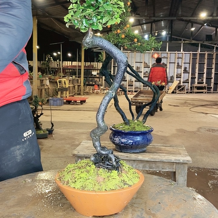 把独家播出技能不想让我知道我在