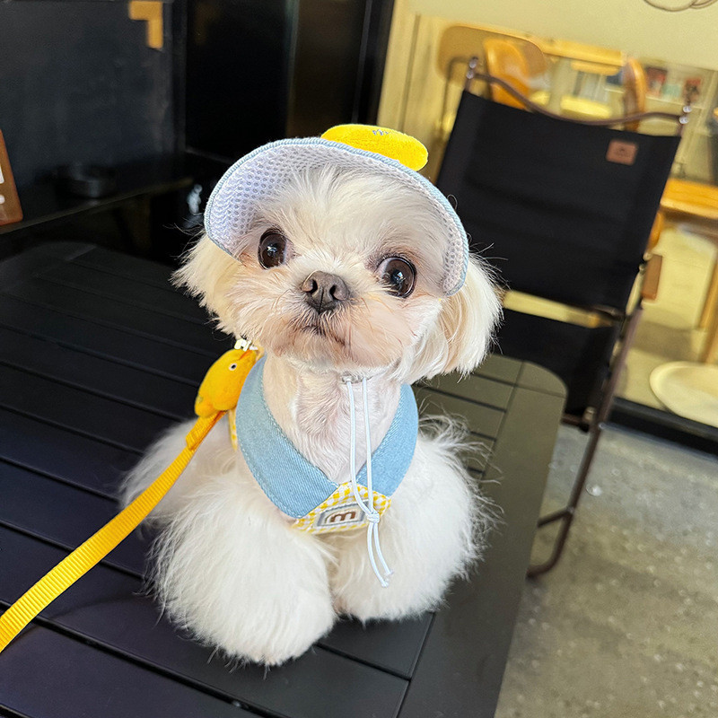 宠物狗狗猫咪春夏胸背牵引绳遮阳帽小狗帽胸背牵引套装小型犬