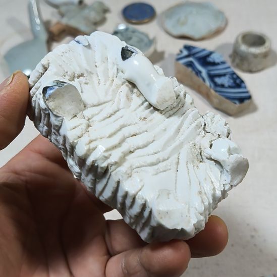 瓷片瓷片尺寸品相如图