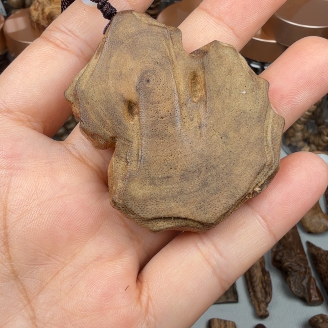 沉香碎屑沉香加里曼丹 7 克