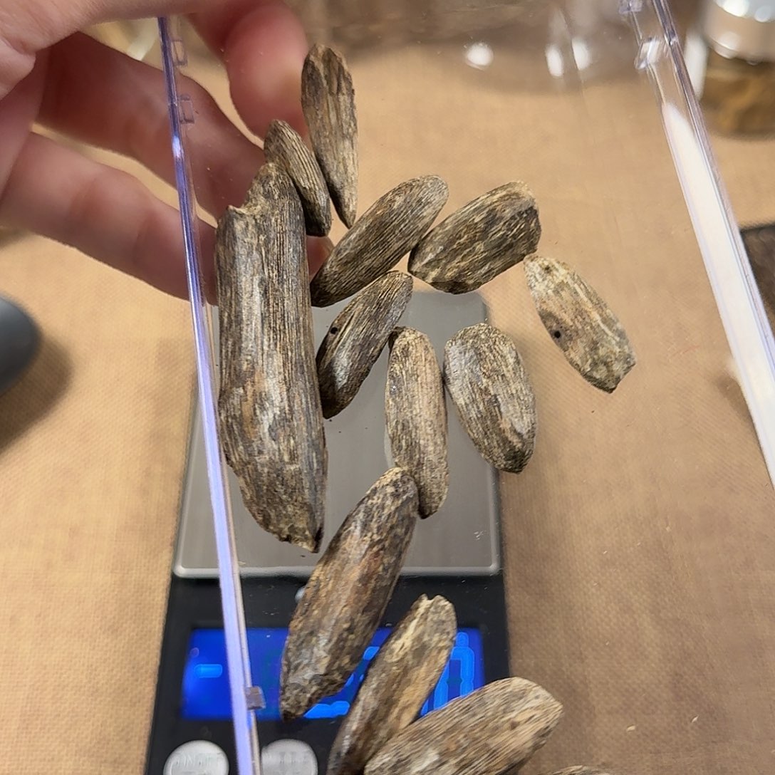 港瓜5克装多样性发一