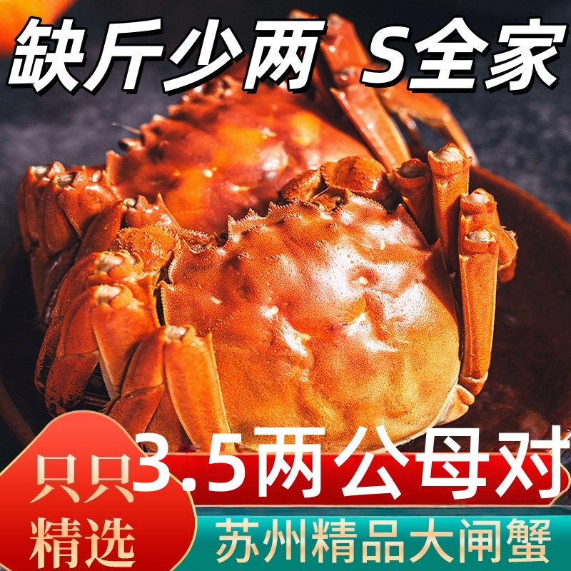 【公母活蟹】M巨无霸 公蟹5.5-5.2两/只+母蟹5.5-5.2两/只精品苏州大闸蟹6-8-10只顺丰京东冷链送货上门海鲜