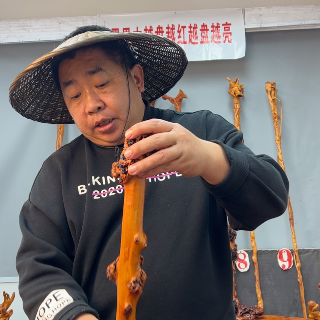 黑果木其他黑果木052