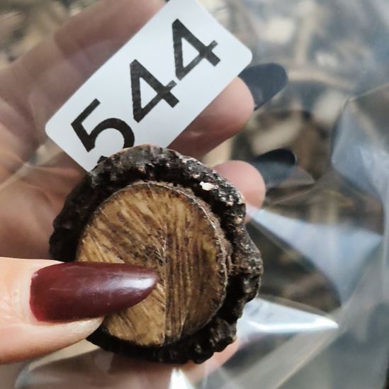 A***y鹿角鹿角鹿角鹿角鹿角鹿角