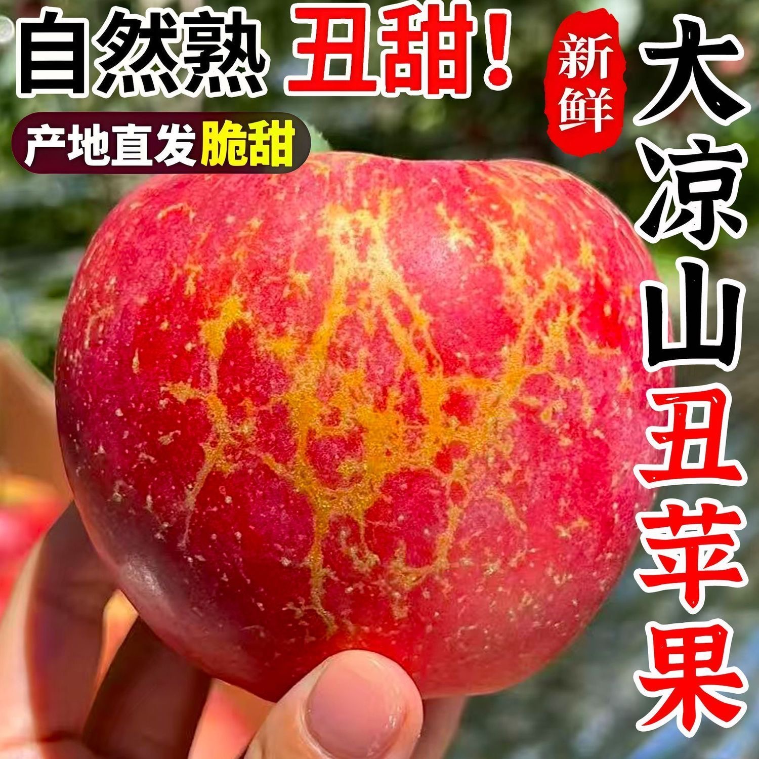 【生鲜专线】四川大凉山新鲜丑苹果好吃脆甜多汁四川省