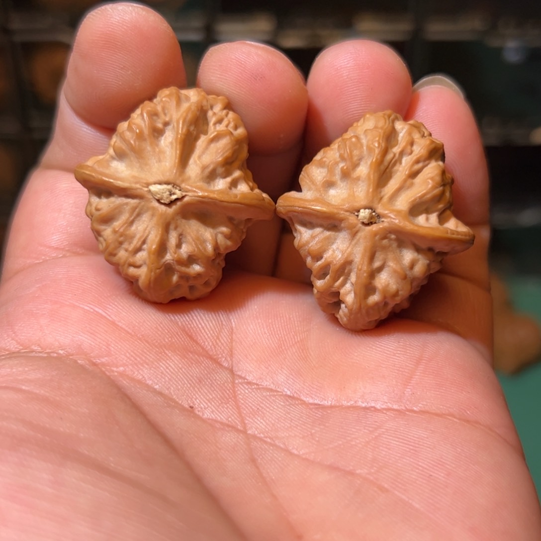 文玩核桃把件野生子弹头35全品