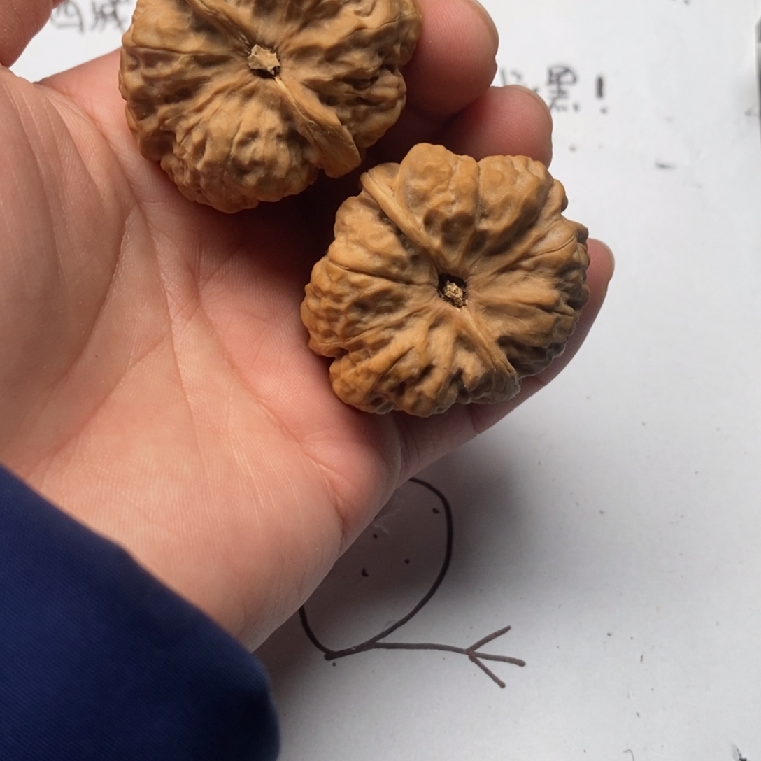 用***9好的我真的是太喜欢了