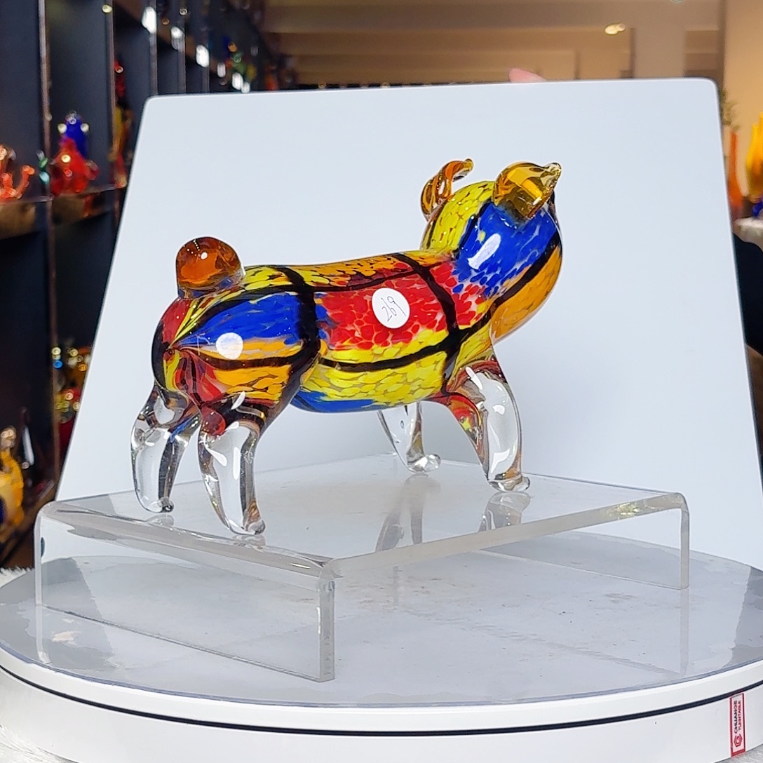 茶宠琉璃花开的时候真的