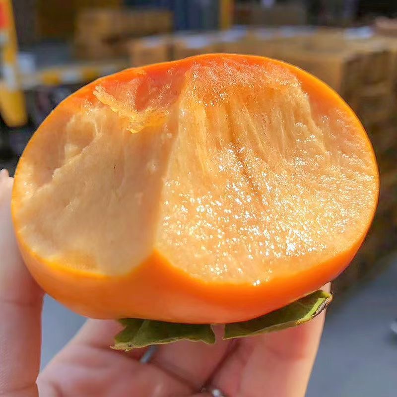 农家自种稀有品种小柿子新鲜水果脆甜巧克力脆柿子软硬两吃火晶柿