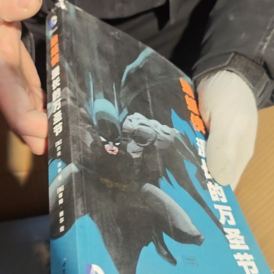 蝙蝠侠最后的万圣节 瑕疵介意介意勿拍